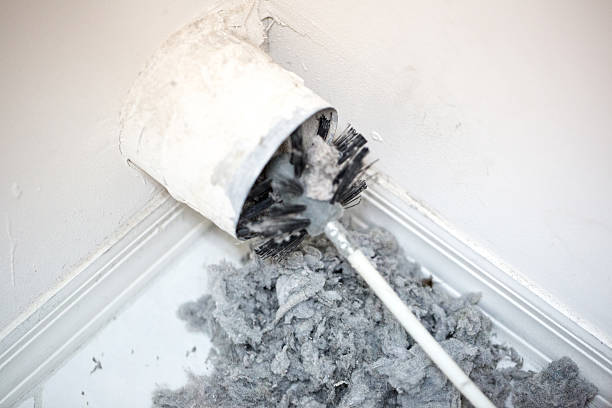 Best Professional Duct Cleaning Services  in Reisterstown, MD